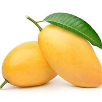 Mango 9