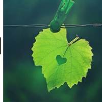 Nguyễn Đức Đông