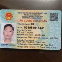 A7 NGÁO ĐÁ  